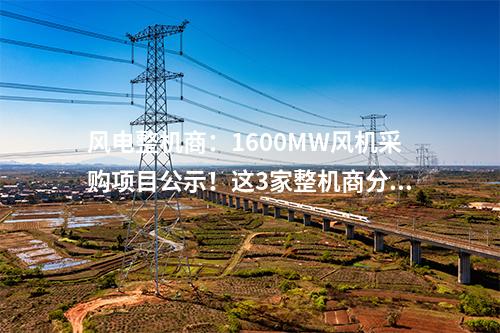 風電整機商：1600MW風機采購項目公示！這3家整機商分羹