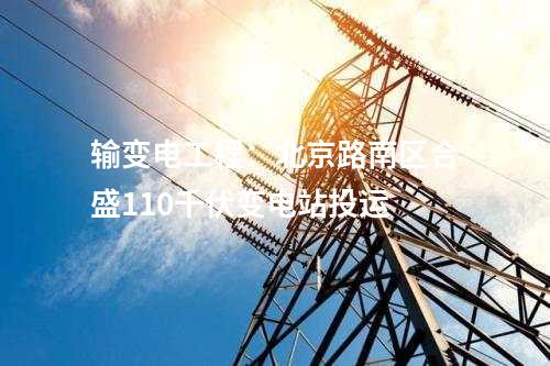 儲能項目：電管家集團750kW/1500kWh儲能項目并網