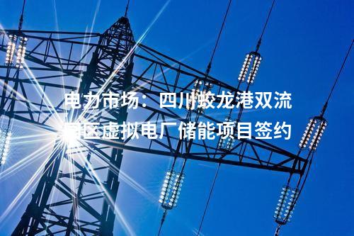 數(shù)智化：國內(nèi)首個村級自治微電網(wǎng)示范工程正式建成投運(yùn)