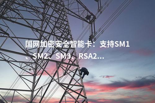 國網加密安全智能卡：支持多級目錄的高兼容性安全TF卡