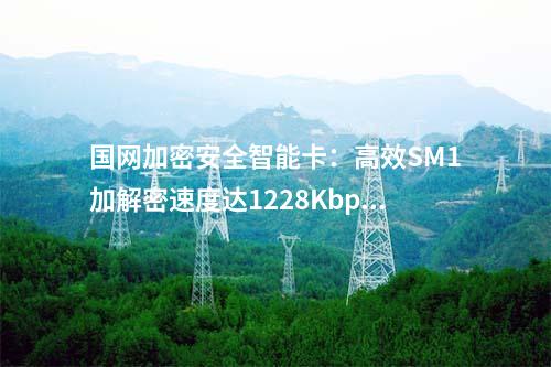 國(guó)網(wǎng)加密安全智能卡：高效SM1加解密速度達(dá)1228Kbps/s的安全TF卡
