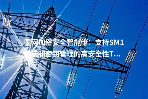 國網加密安全智能卡：支持個人數字身份證書存儲的安全TF卡