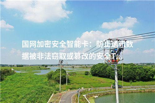 國網加密安全智能卡：高效SM2簽名驗證和密鑰生成的安全TF卡