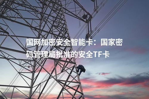 國網加密安全智能卡：國家密碼管理局批準的安全TF卡