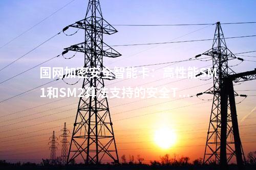 國網加密安全智能卡:高性能SM1和SM2算法支持的安全TF卡