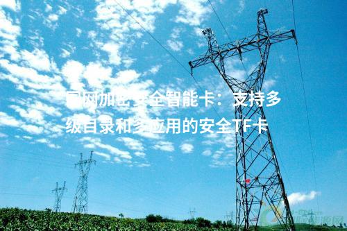 國網加密安全智能卡：防止通訊數據被非法竊取的高安全性TF卡