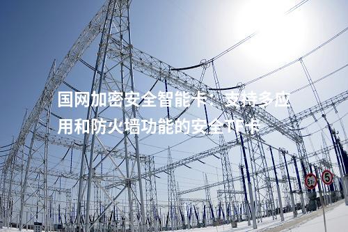 國網加密安全智能卡：支持多應用和防火墻功能的安全TF卡