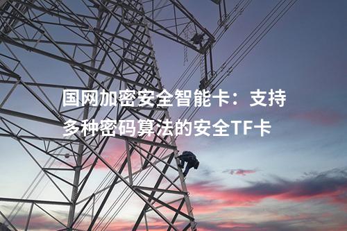 國網加密安全智能卡：支持多種密碼算法的安全TF卡
