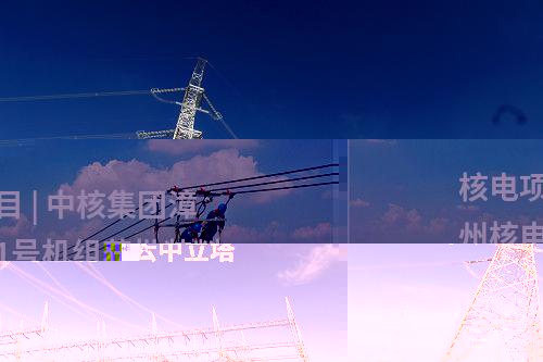 核電項目 | 中核集團漳州核電1號機組獲批裝料