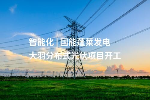 智能化 | 國能蓬萊發電大羽分布式光伏項目開工