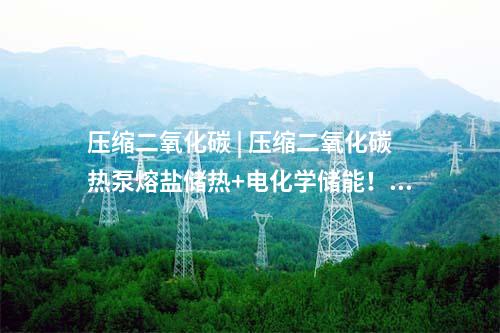 核電項目 | 徐大堡核電項目2號機組CA20模塊順利吊裝就位