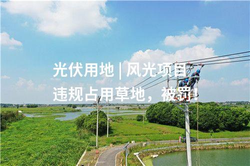 光伏用地 | 風光項目違規占用草地，被罰！