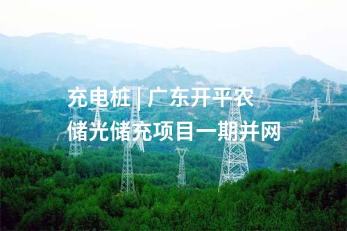 抽水蓄能電站 | 浙江松陽抽蓄電站機組第二次設計聯絡會召開