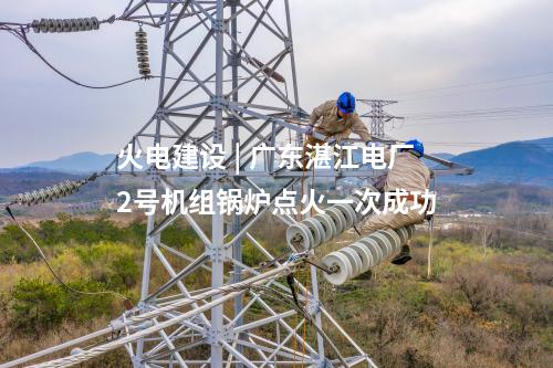 光伏發電 | 貴州冊亨縣八渡農業光伏電站項目(一期)全容量并網發電