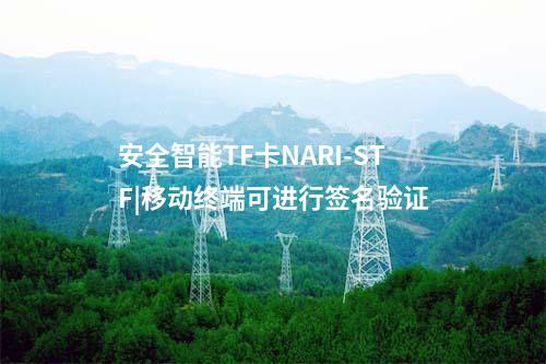 安全智能TF卡NARI-STF|移動終端可進行簽名驗證