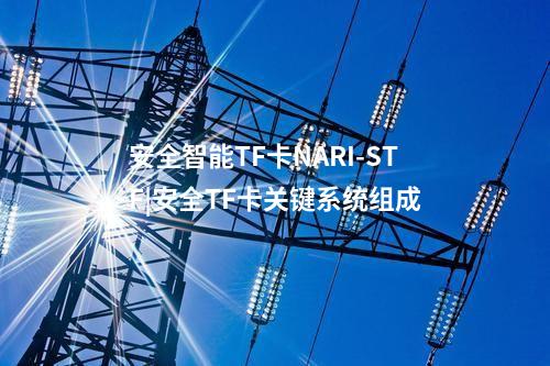 安全智能TF卡NARI-STF|安全TF卡關鍵系統組成