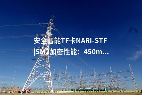 安全智能TF卡NARI-STF|實現SM1算法和密鑰管理