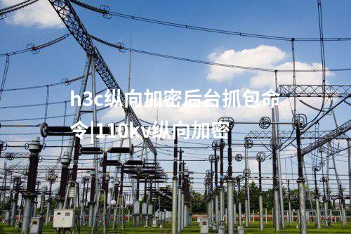 h3c縱向加密后臺抓包命令|110kv縱向加密