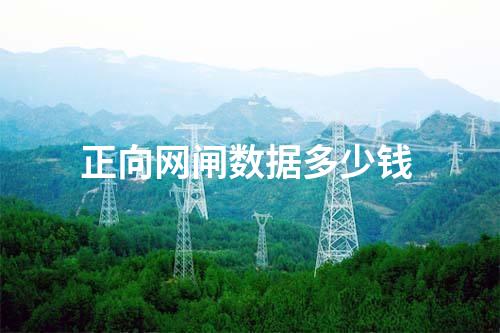 正向網(wǎng)閘有哪些