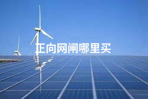 正向網(wǎng)閘哪里買(mǎi)
