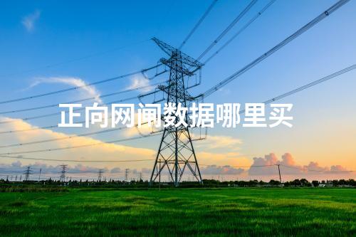 正向網(wǎng)閘數(shù)據(jù)哪里買(mǎi) 