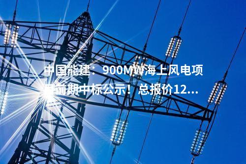 中國能建：900MW海上風電項目前期中標公示！總報價12325萬元！
