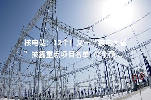 核電站：12個！又一“核電大省”披露重點項目名單（7個預備項目）