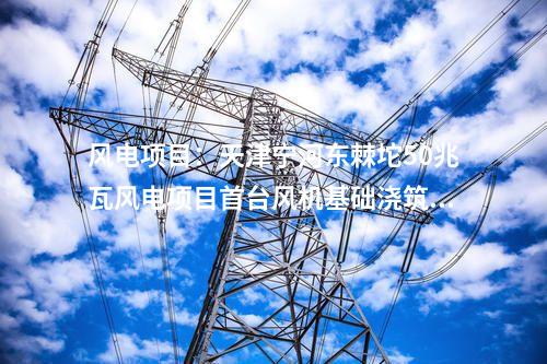 風(fēng)電項(xiàng)目：天津?qū)幒訓(xùn)|棘坨50兆瓦風(fēng)電項(xiàng)目首臺(tái)風(fēng)機(jī)基礎(chǔ)澆筑順利完成