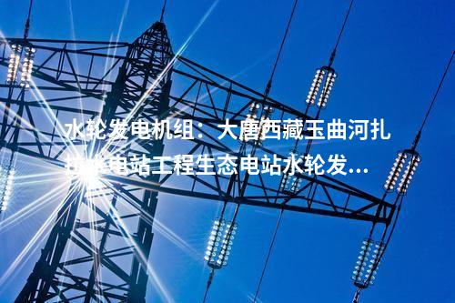水輪發電機組:大唐西藏玉曲河扎拉水電站工程生態電站水輪發電機組及其附屬設備中標公示